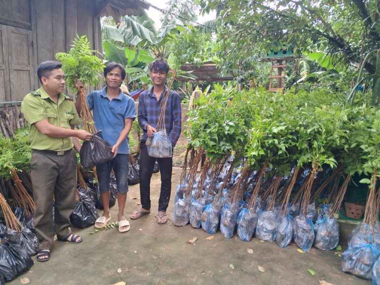 Tree saplings being handed over to local residents and forest caretakers